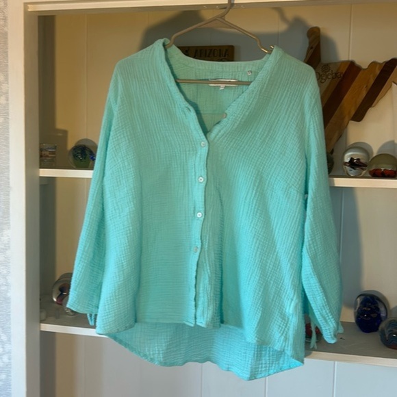 Foxcroft Tops - FOXCROFT Size Large Teal Cotton Button Up Top